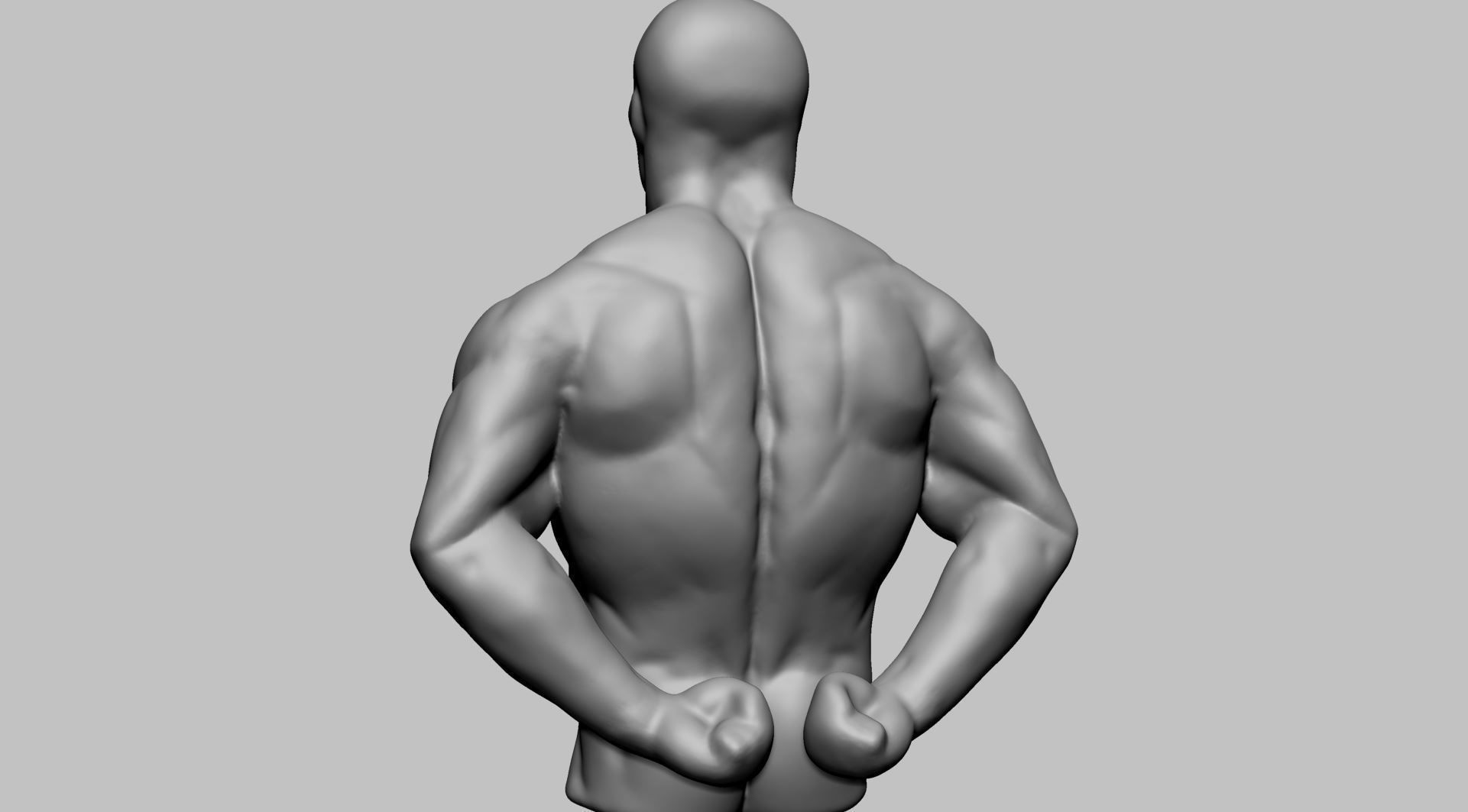 Male Torso Printable v2 3D print model_3