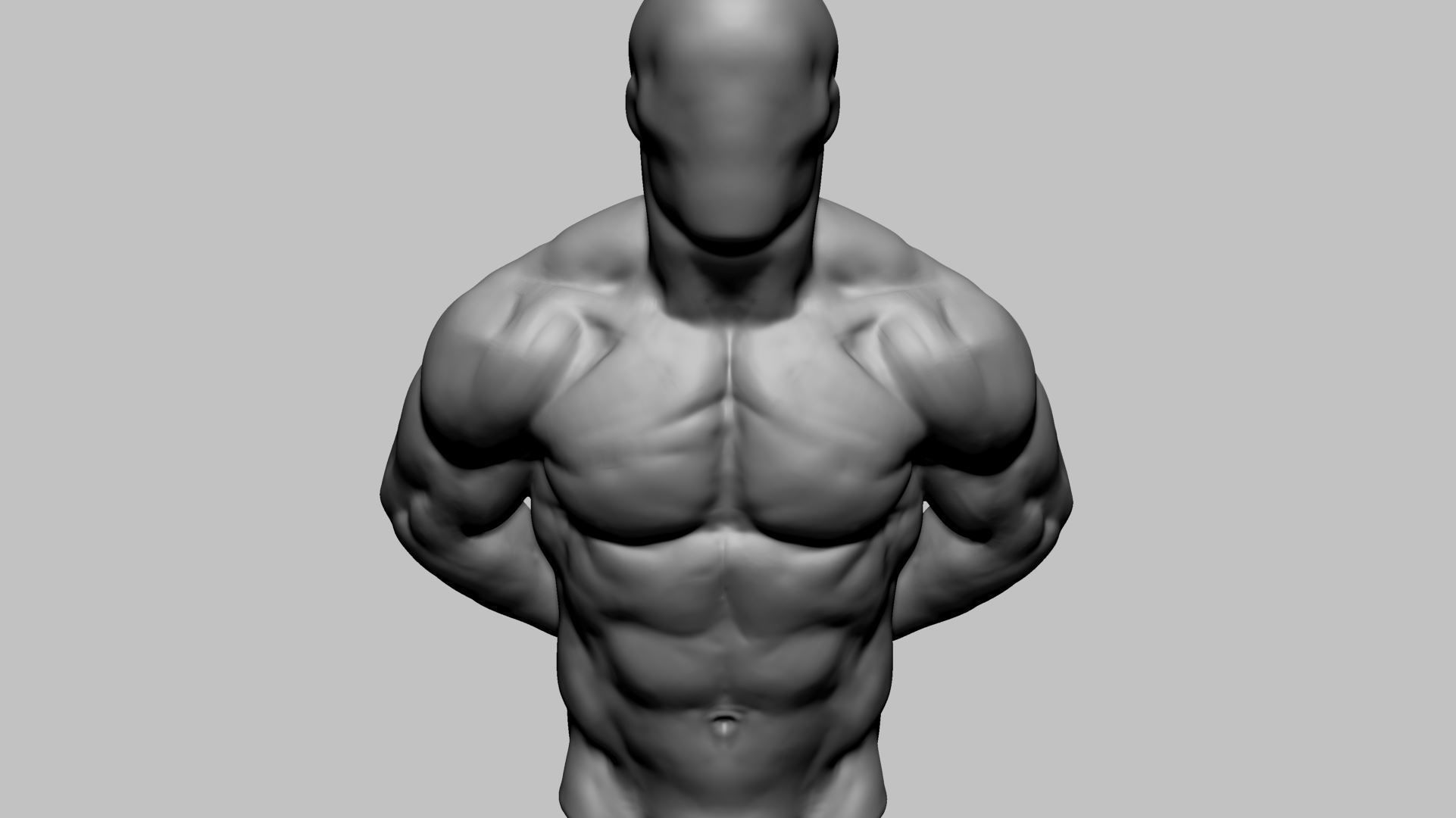 Male Torso Printable v2 3D print model_5