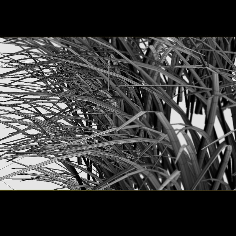 HD Grass 3D model_1