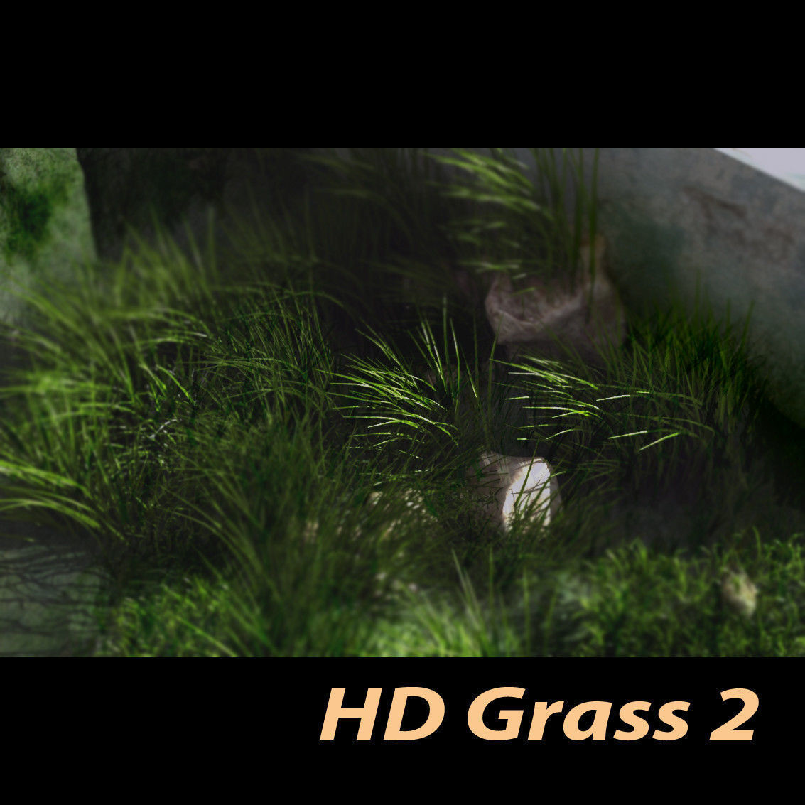 HD Grass 3D model_0