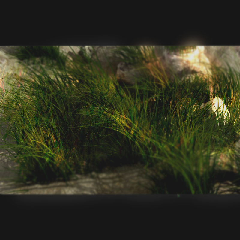 HD Grass 3D model_2
