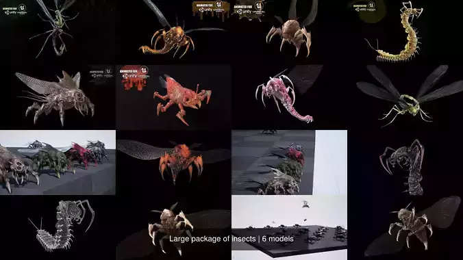 Large package of insects