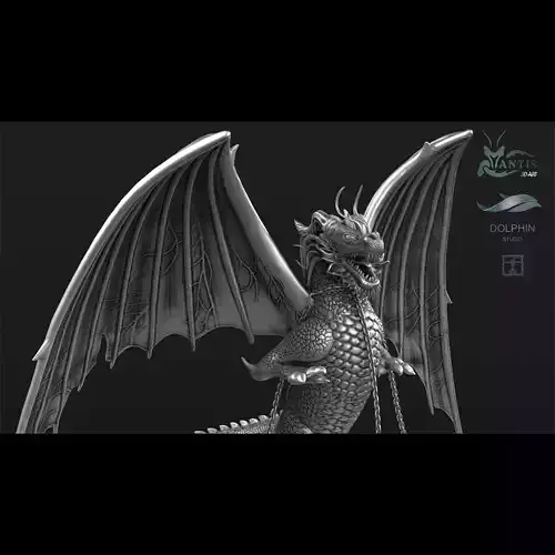 Dragon 01