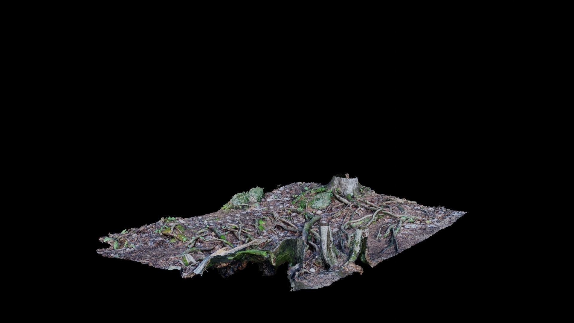 Forest Roots 3D model_10