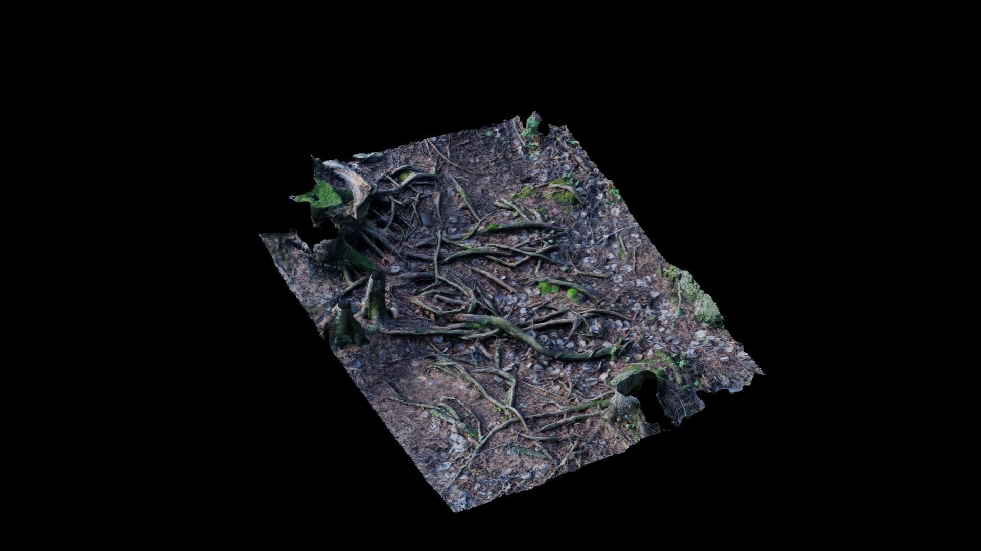 Forest Roots 3D model_26