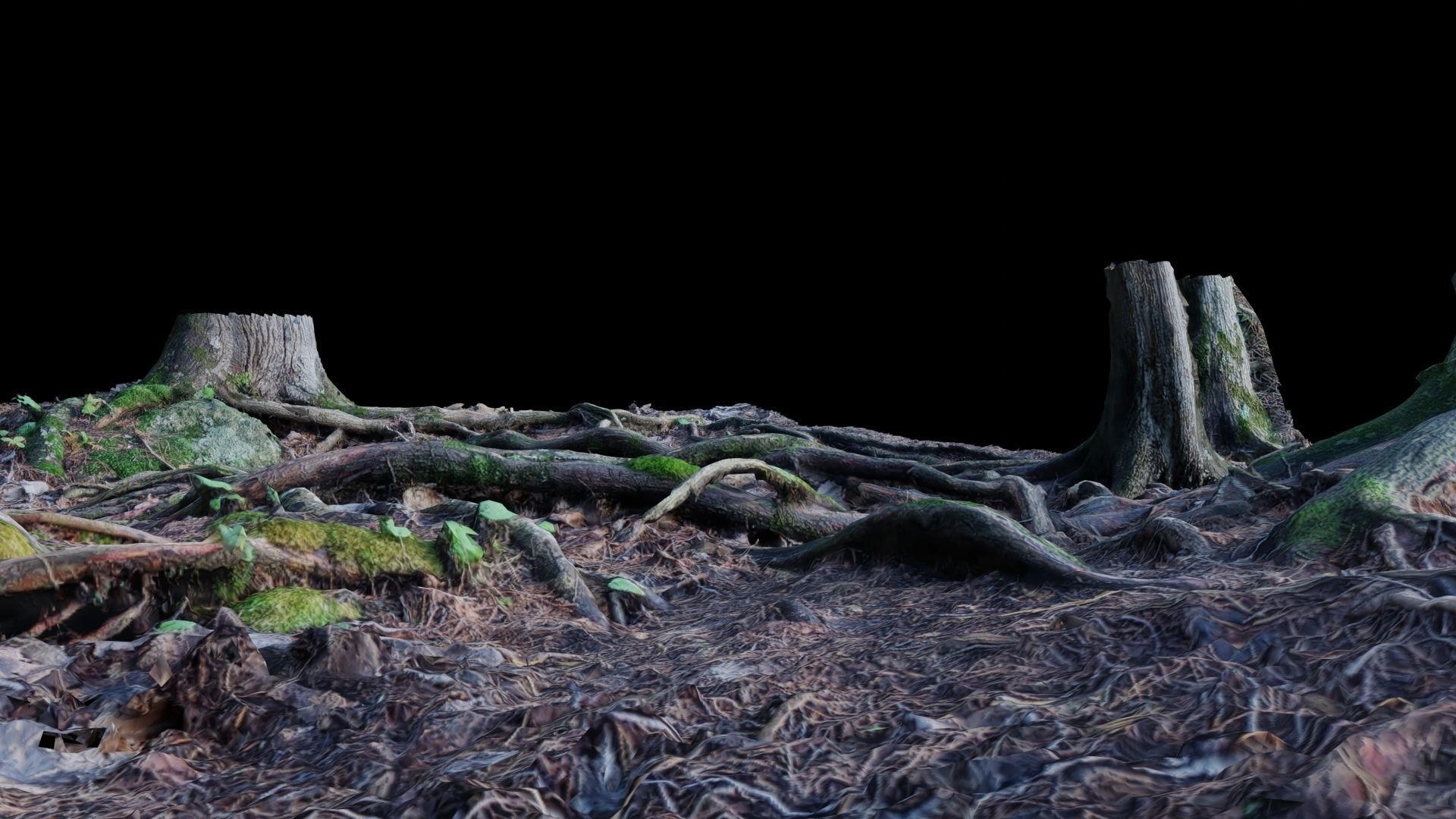 Forest Roots 3D model_23