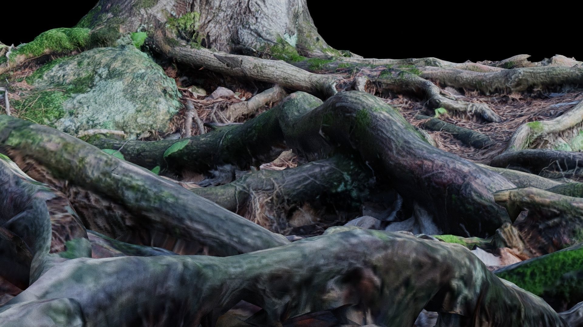 Forest Roots 3D model_15