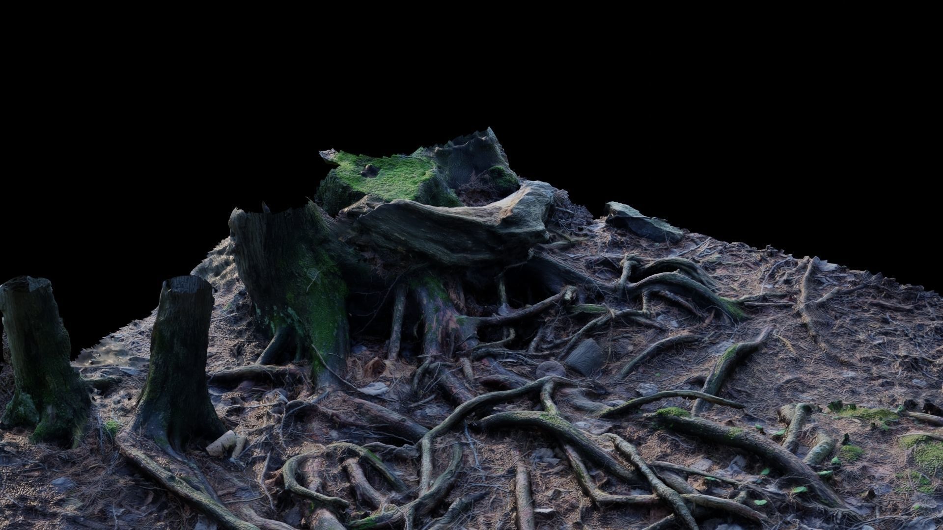 Forest Roots 3D model_21