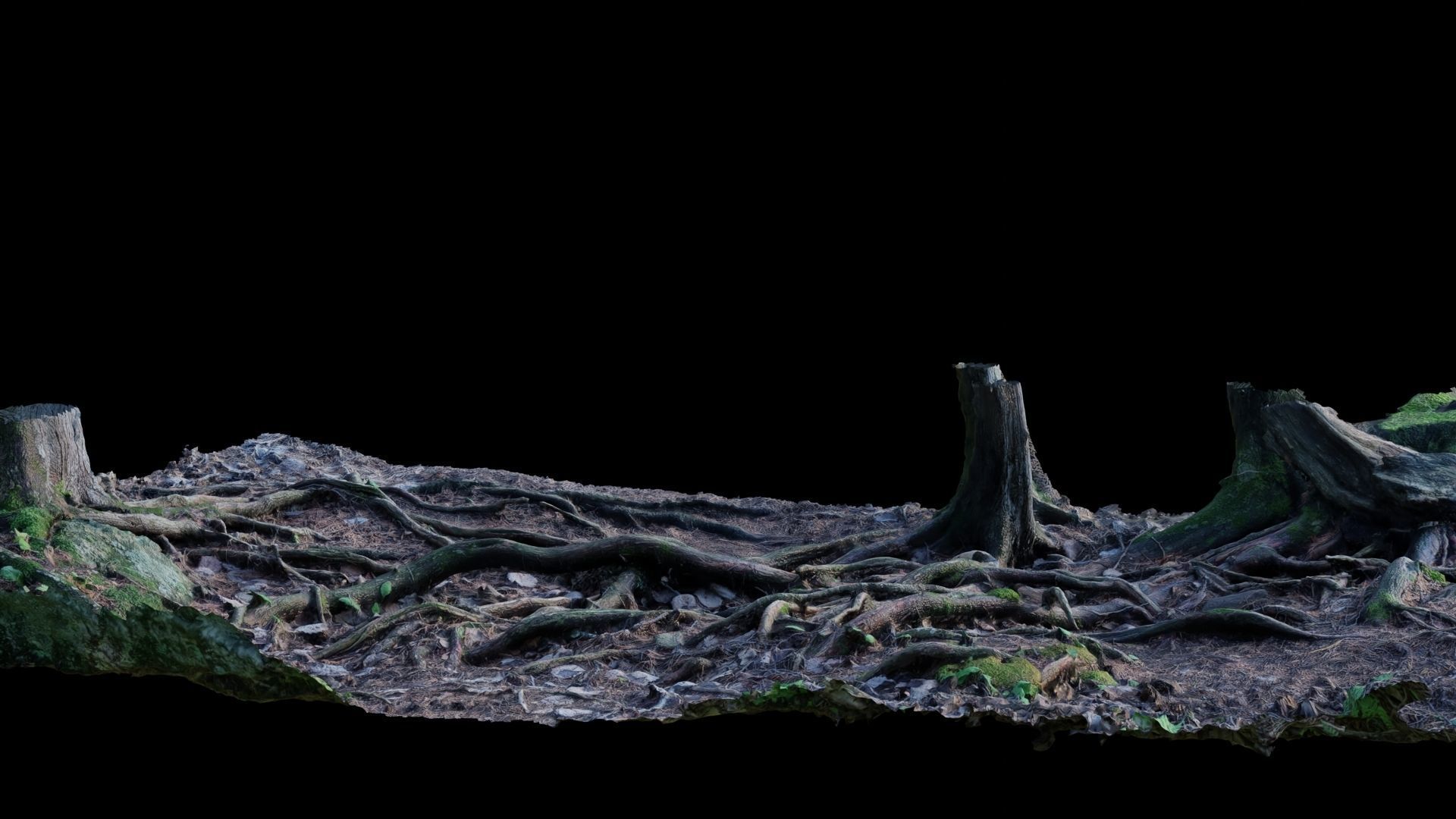 Forest Roots 3D model_17
