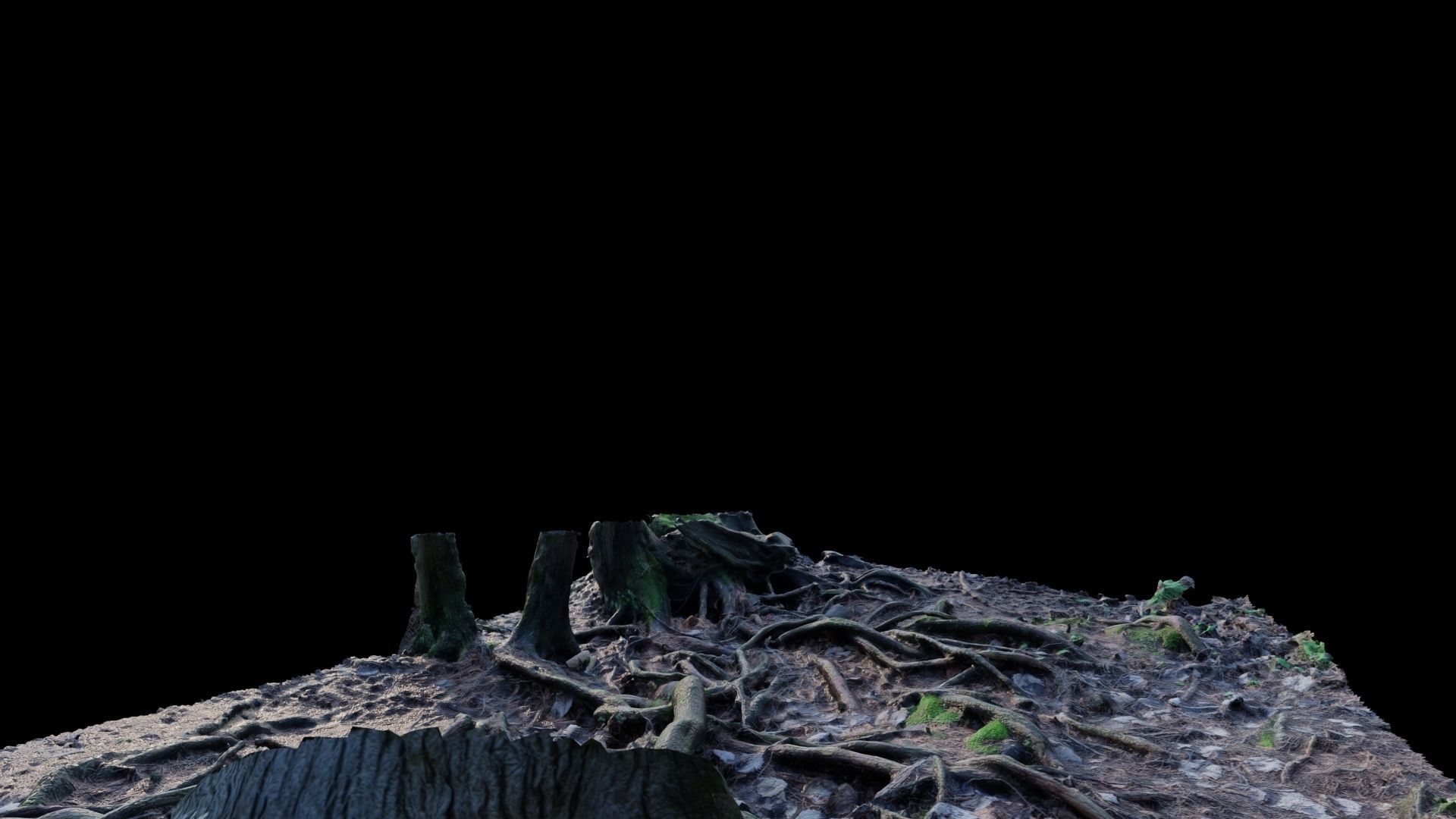 Forest Roots 3D model_27