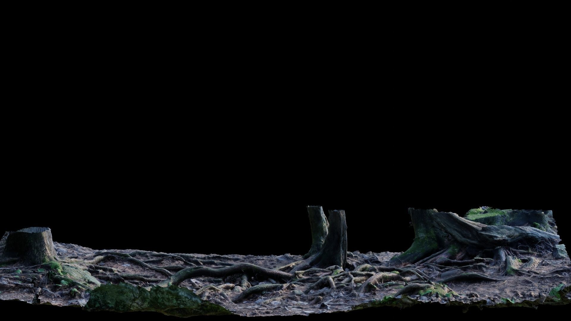 Forest Roots 3D model_20