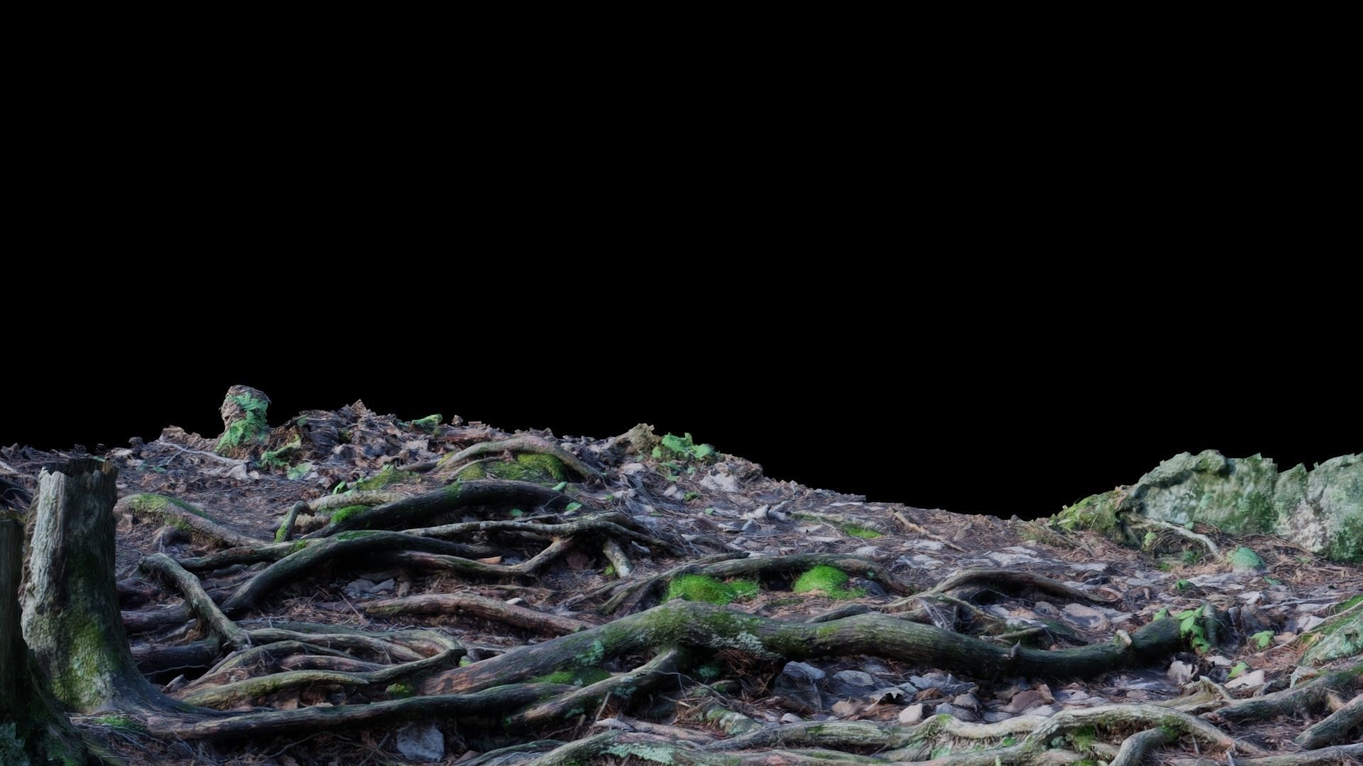 Forest Roots 3D model_19