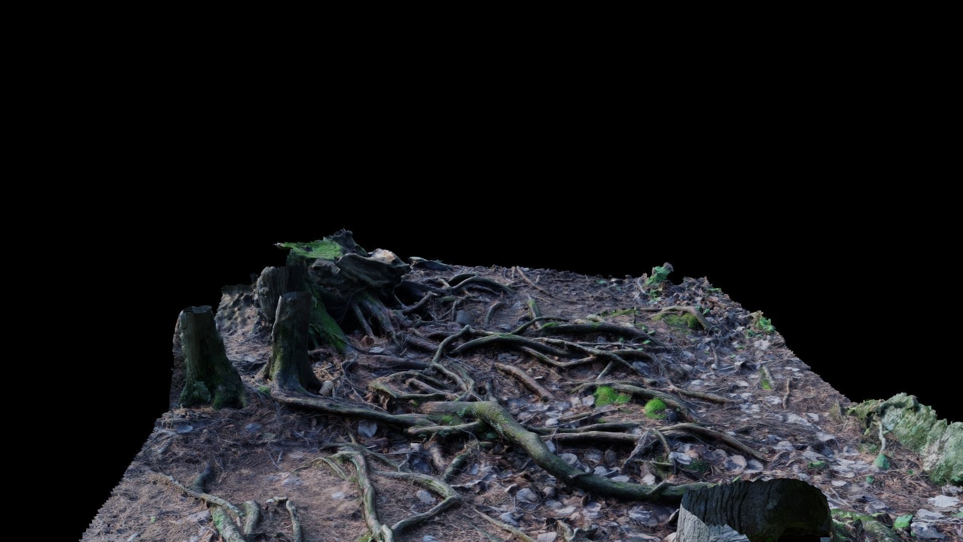 Forest Roots 3D model_24