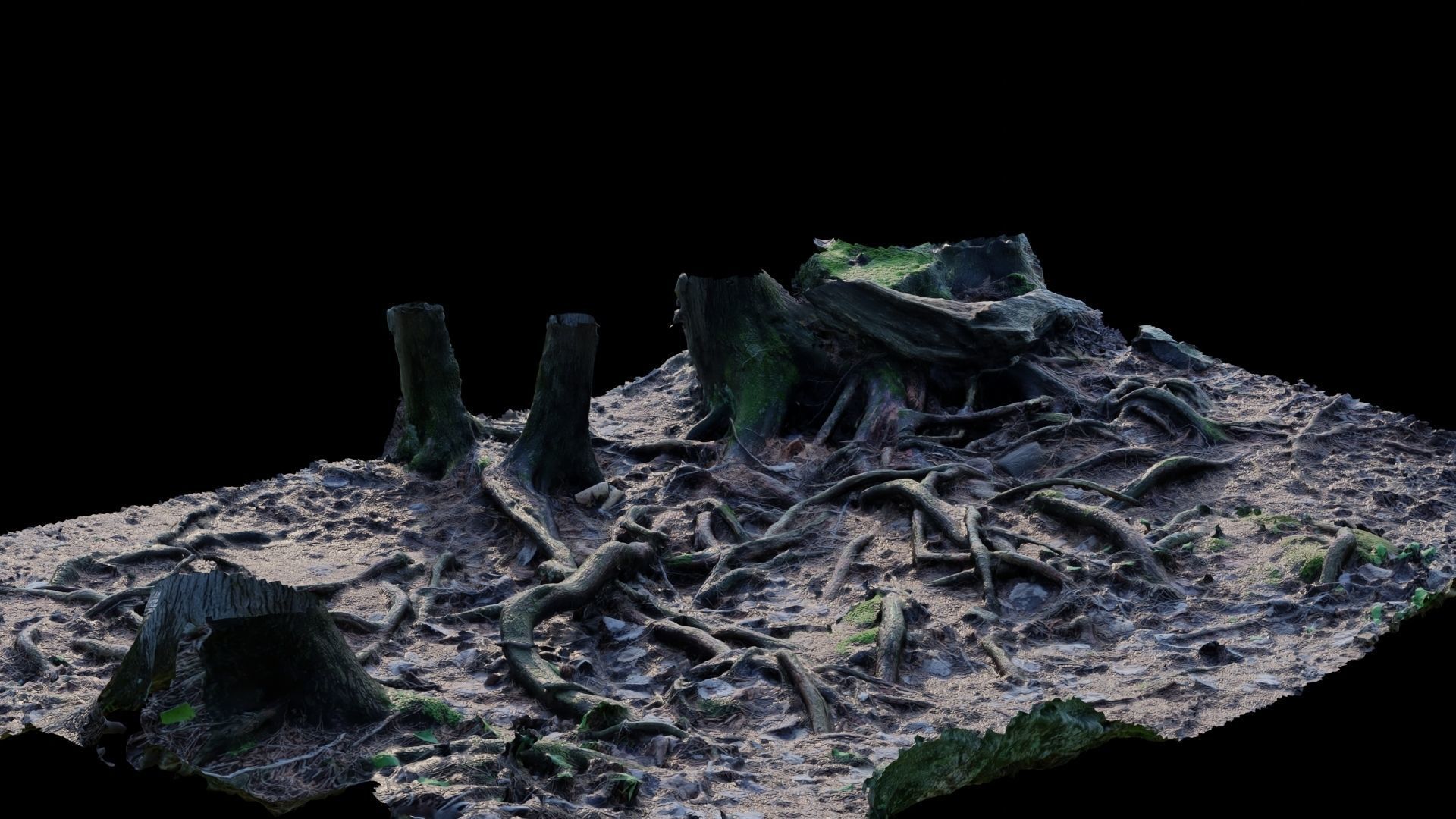 Forest Roots 3D model_22