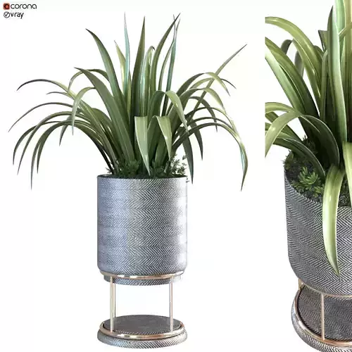 plant in vase set 107