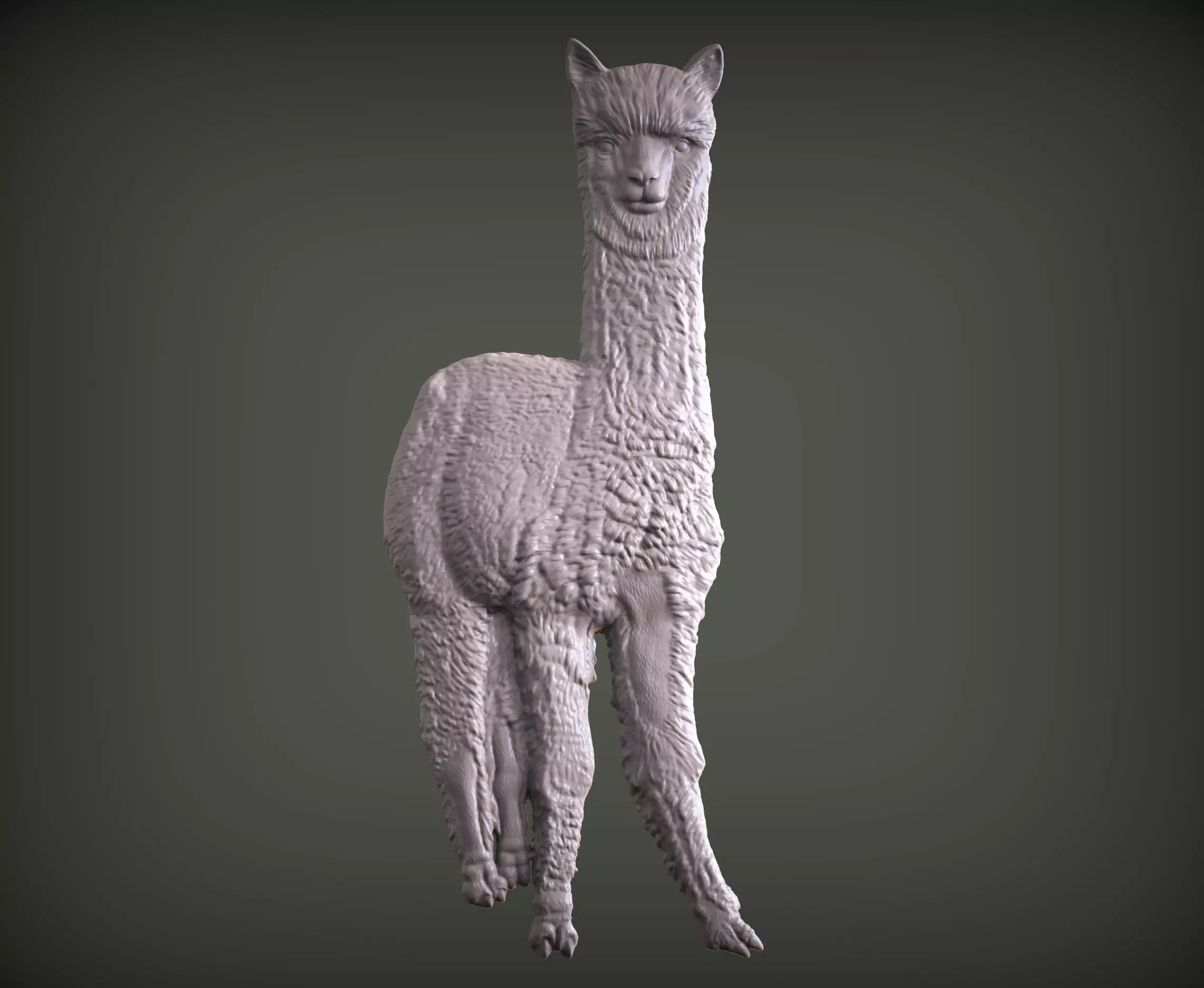 Alpaca golden 3D print model