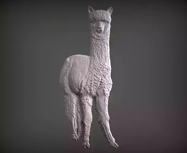 Alpaca golden 3D print model