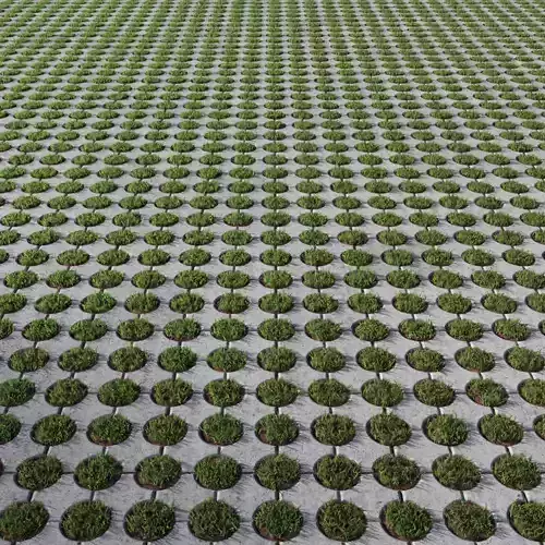Eco parking tile 2 Texture