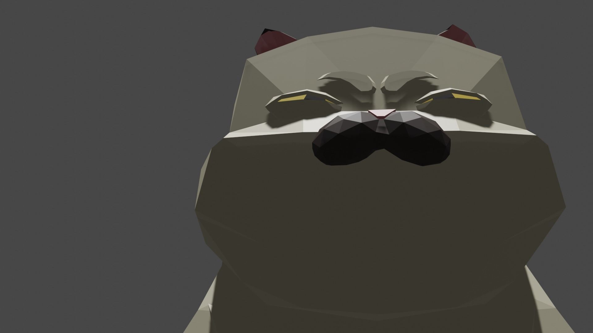 Machiavelli or cat from Luca 3D model_4