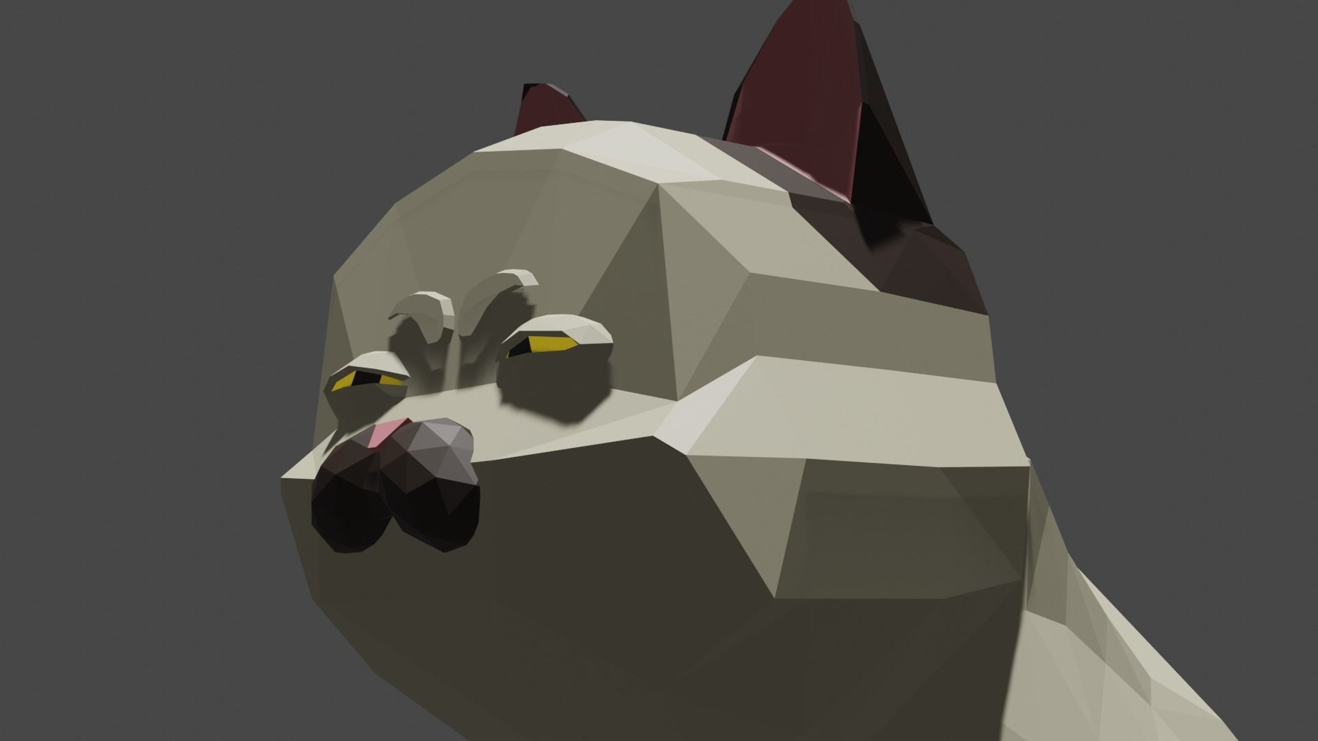 Machiavelli or cat from Luca 3D model_5