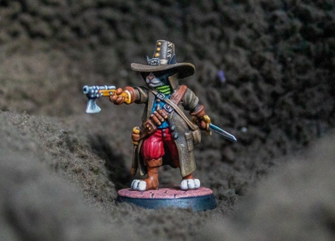 Fantasy Cats RPG Party - The Fellowship of the Meow 3D print model_24