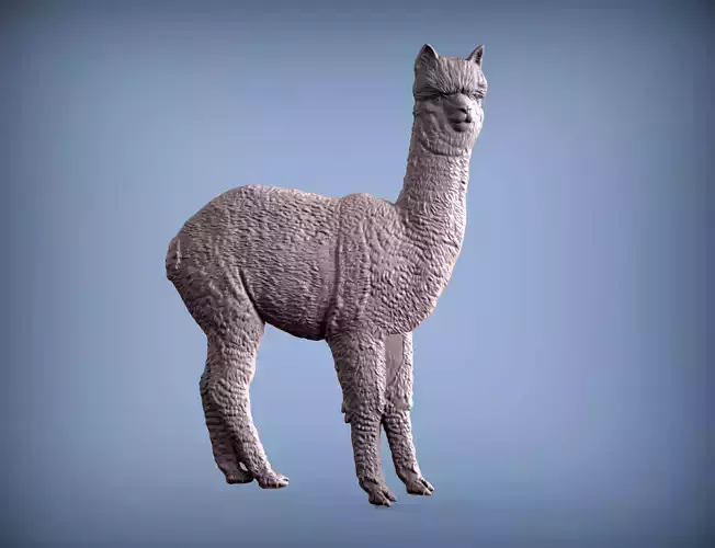 Alpaca golden 3D print model