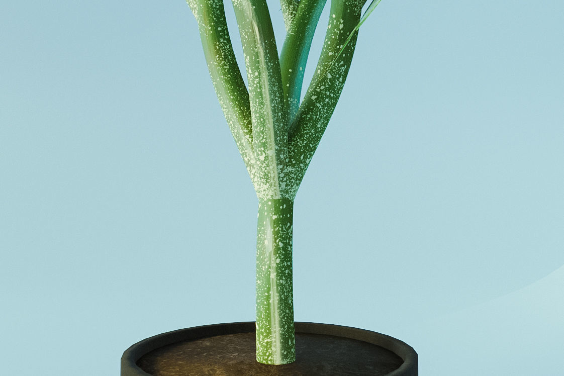 Veg Cannabis Plant 3D Model 3D model_9