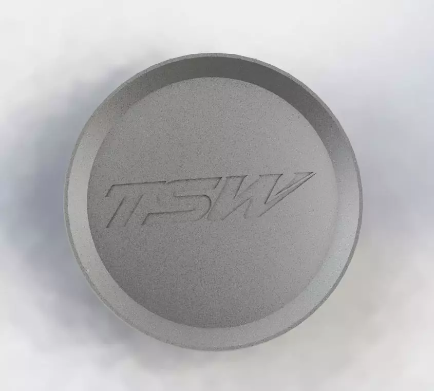 TSW Wheel Center Cap 3D print model_0