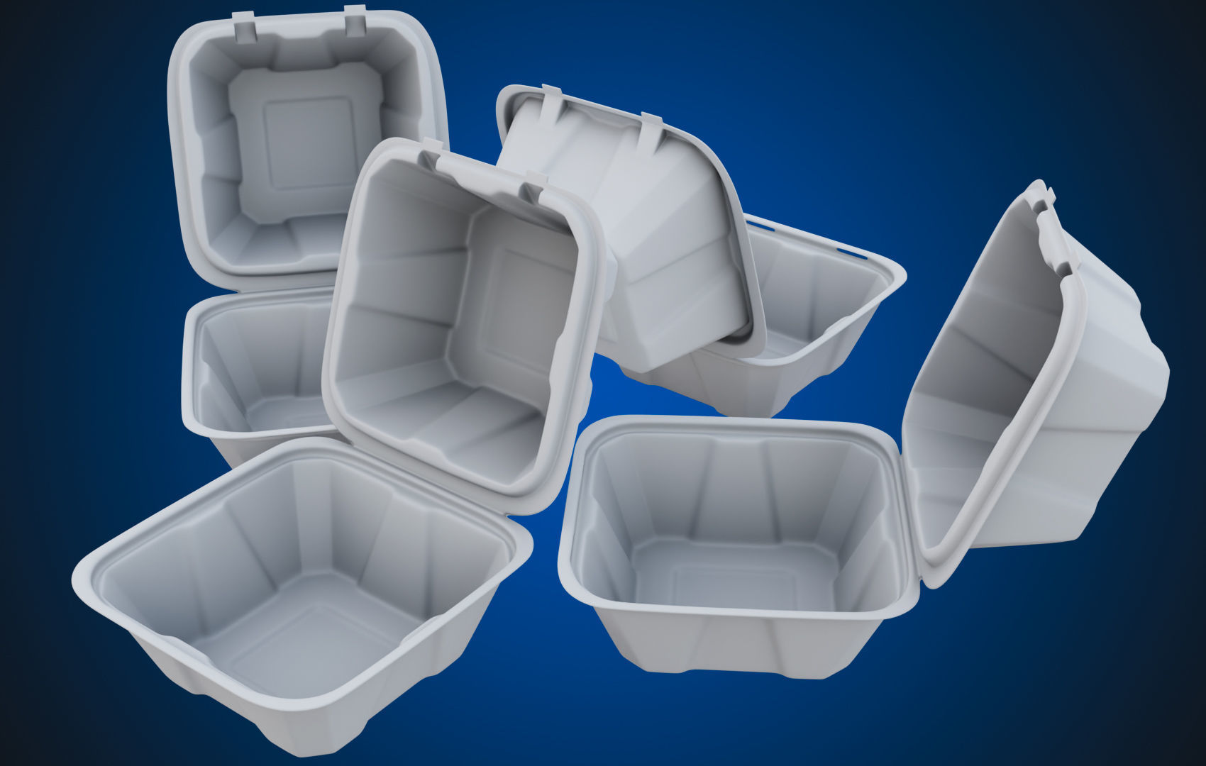 Compostable Food Container - Disposable 3D model_25