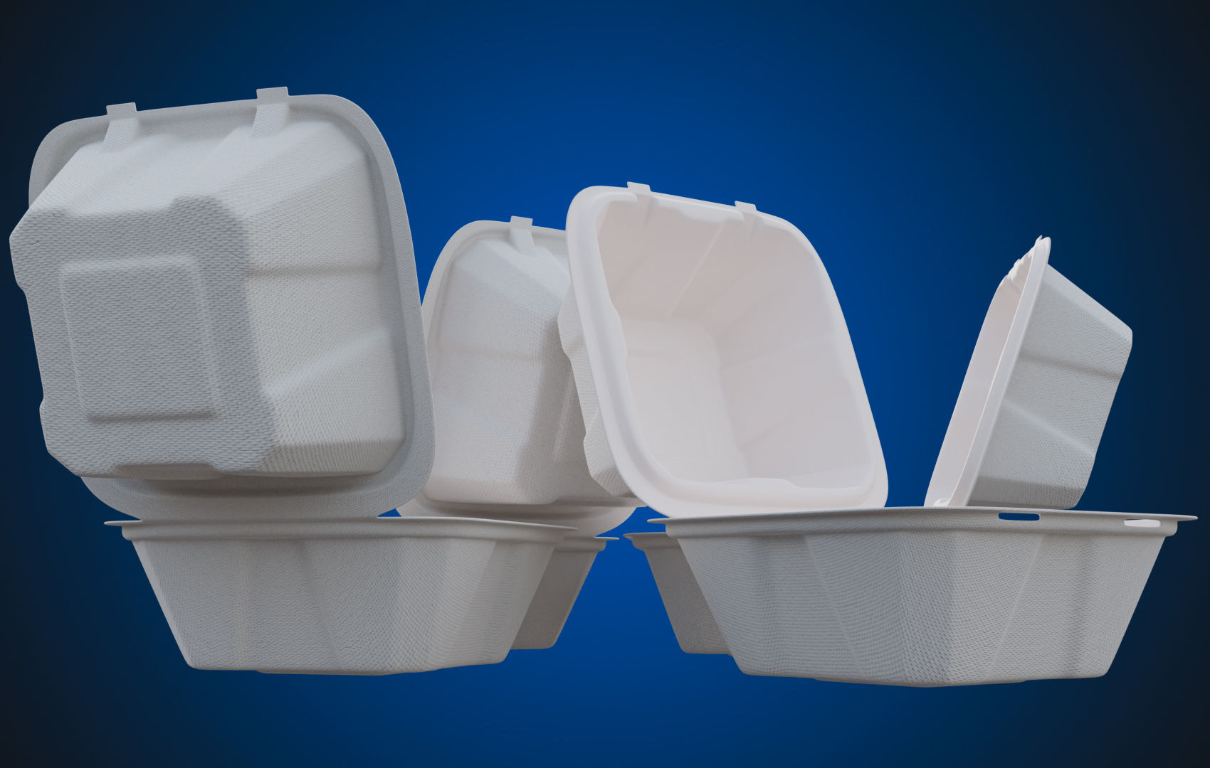 Compostable Food Container - Disposable 3D model_14