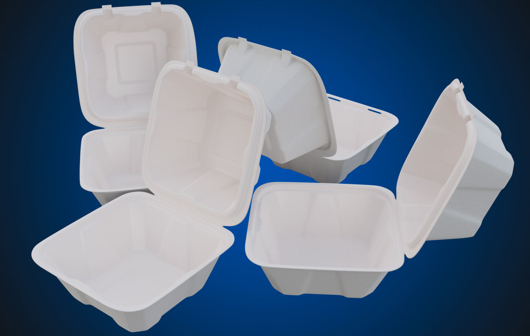 Compostable Food Container - Disposable 3D model_7