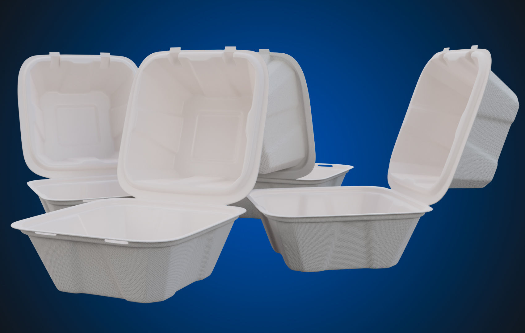 Compostable Food Container - Disposable 3D model_4