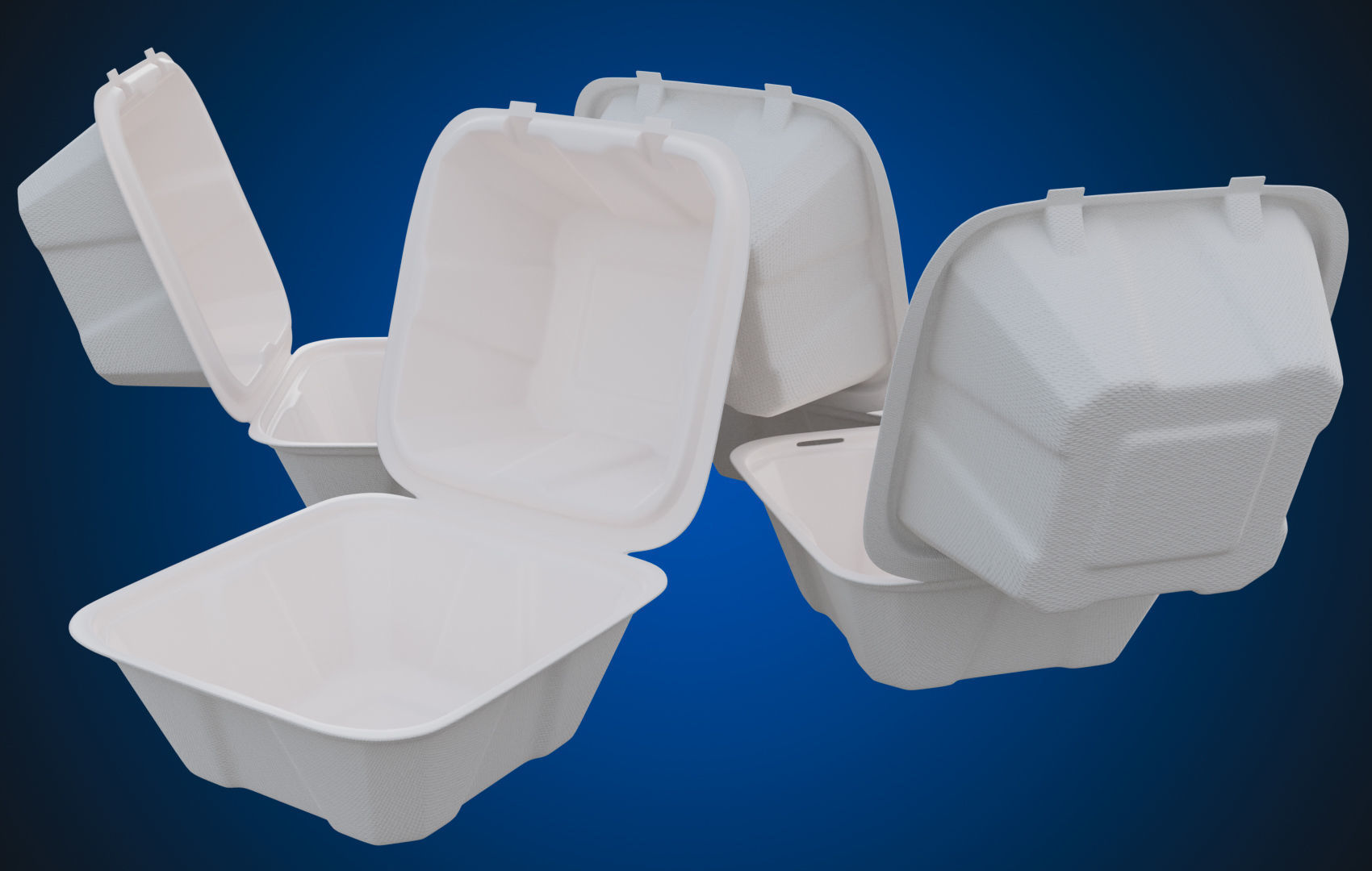 Compostable Food Container - Disposable 3D model_6