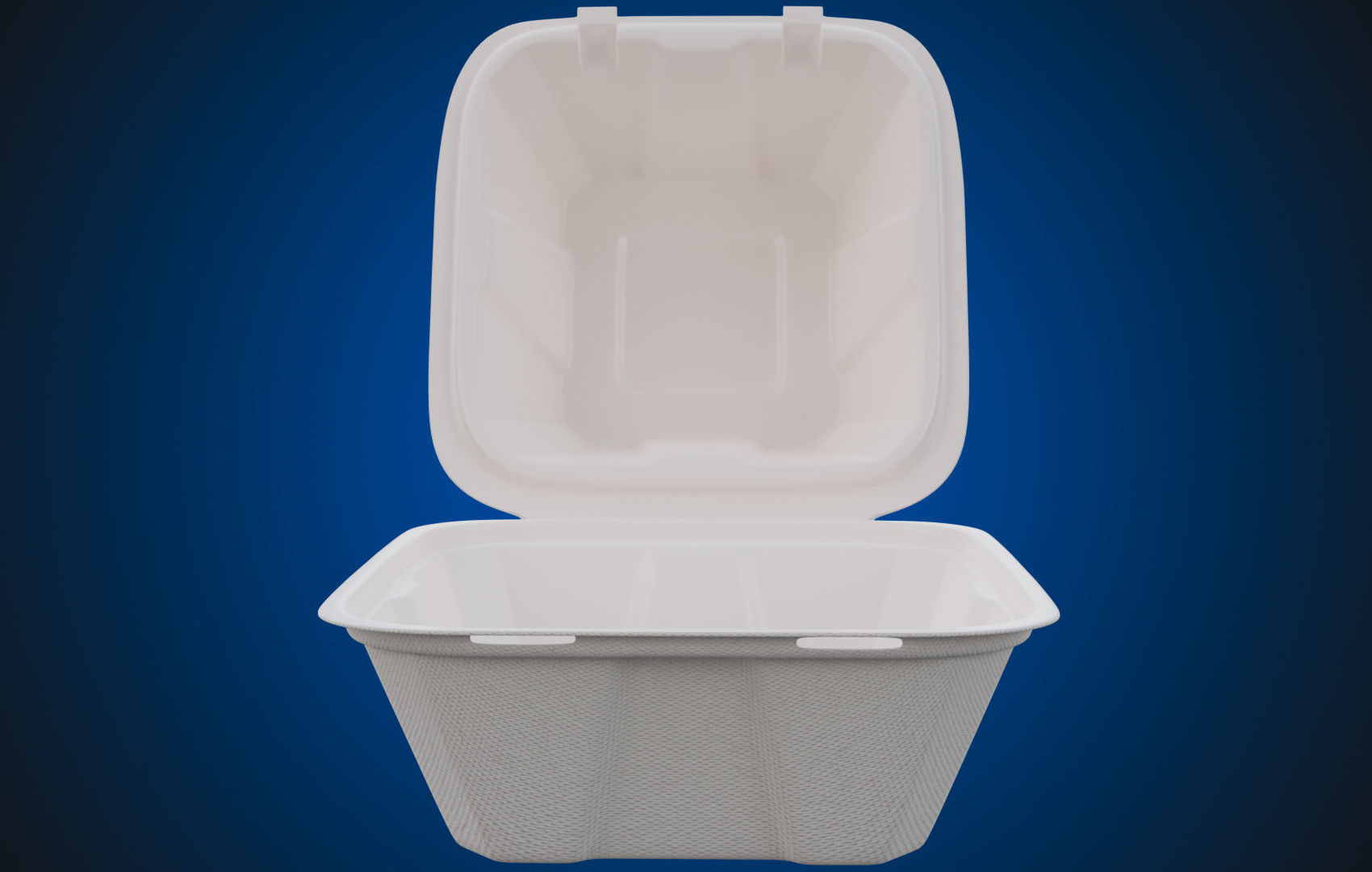 Compostable Food Container - Disposable 3D model_5