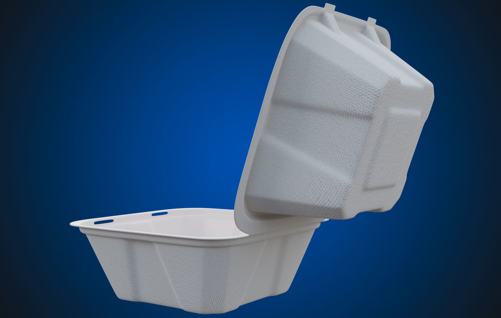 Compostable Food Container - Disposable 3D model_3