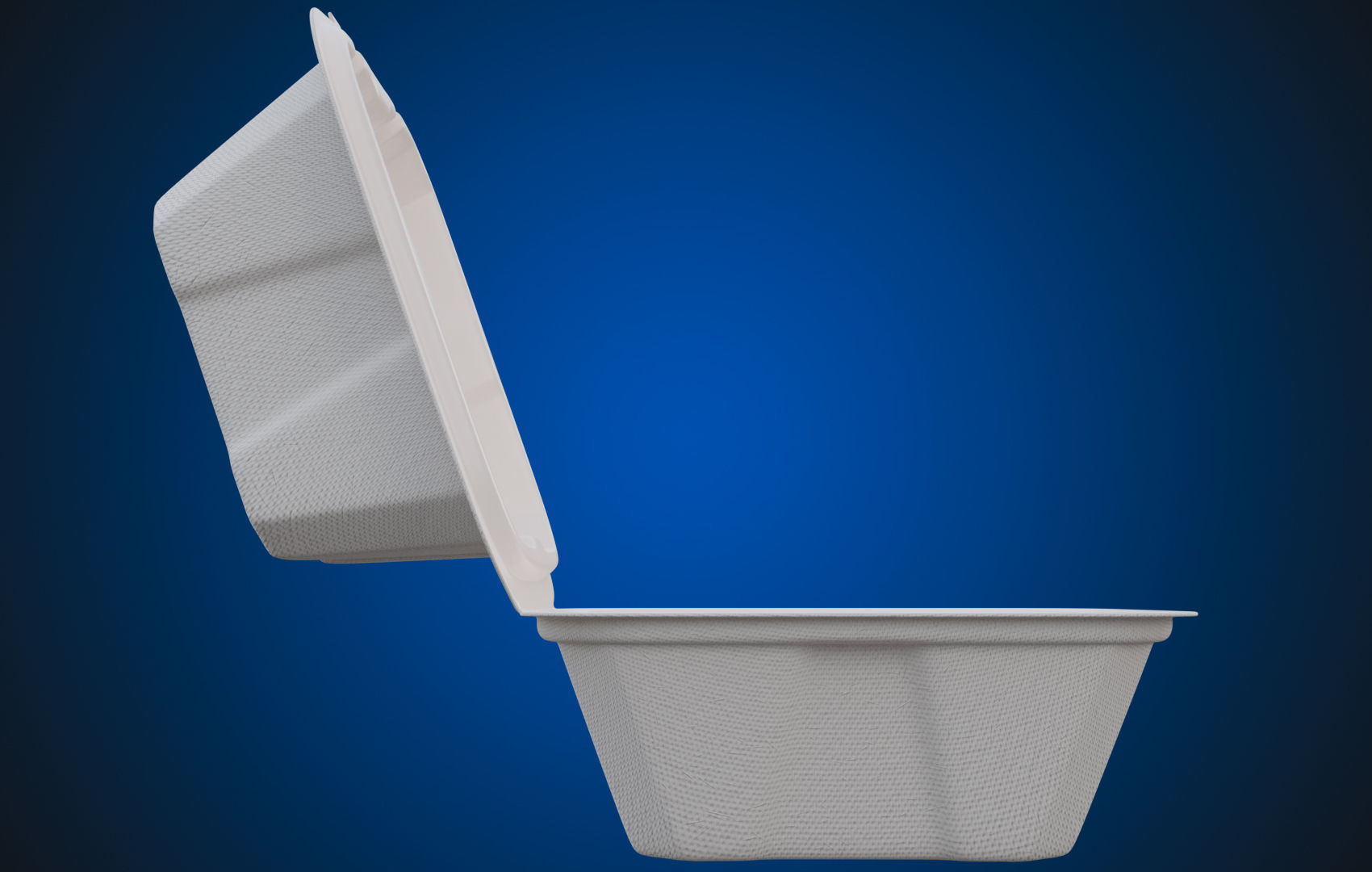 Compostable Food Container - Disposable 3D model_1