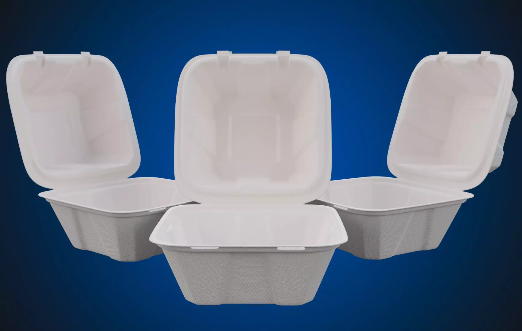 Compostable Food Container - Disposable 3D model_0