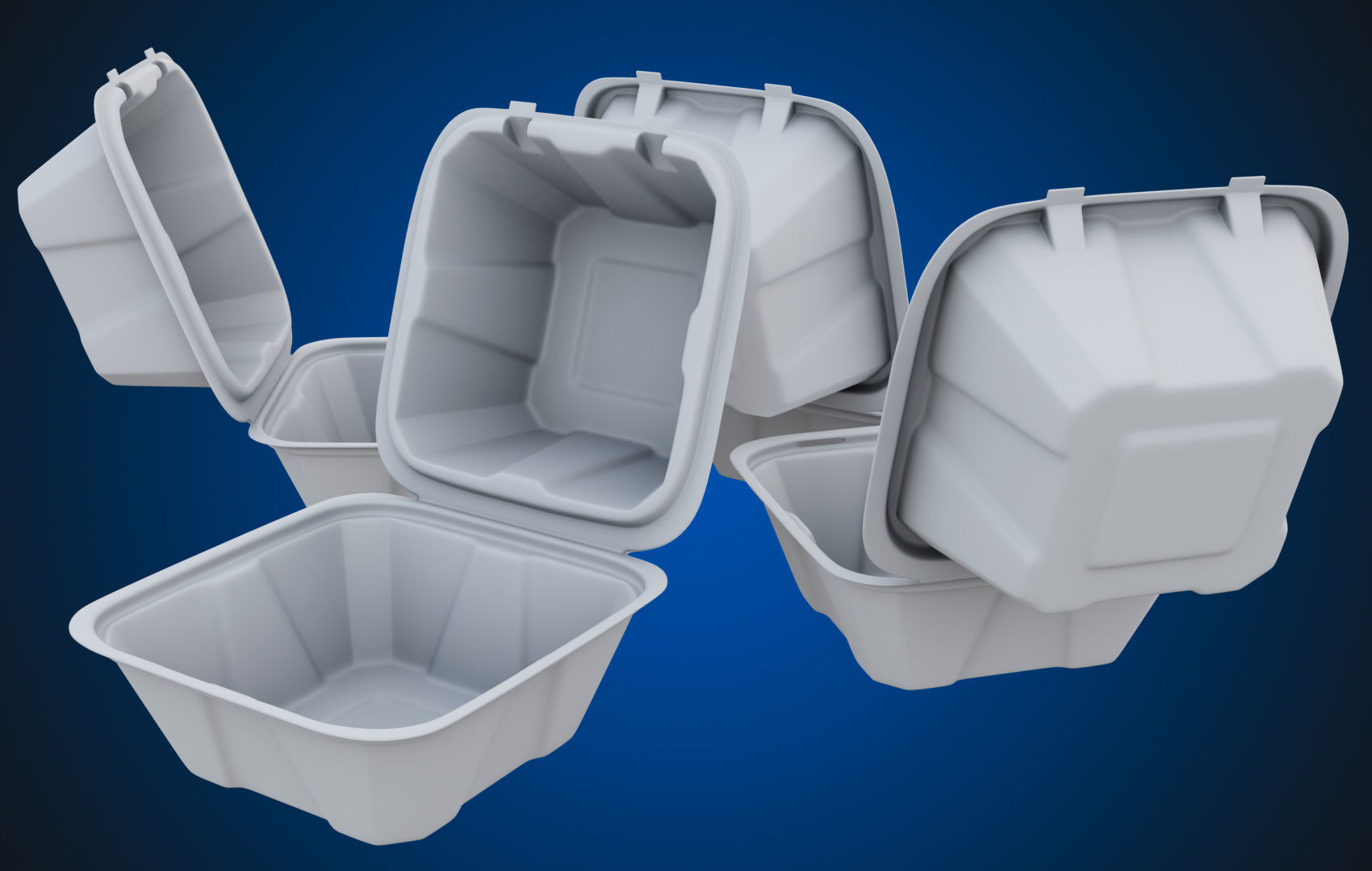 Compostable Food Container - Disposable 3D model_11