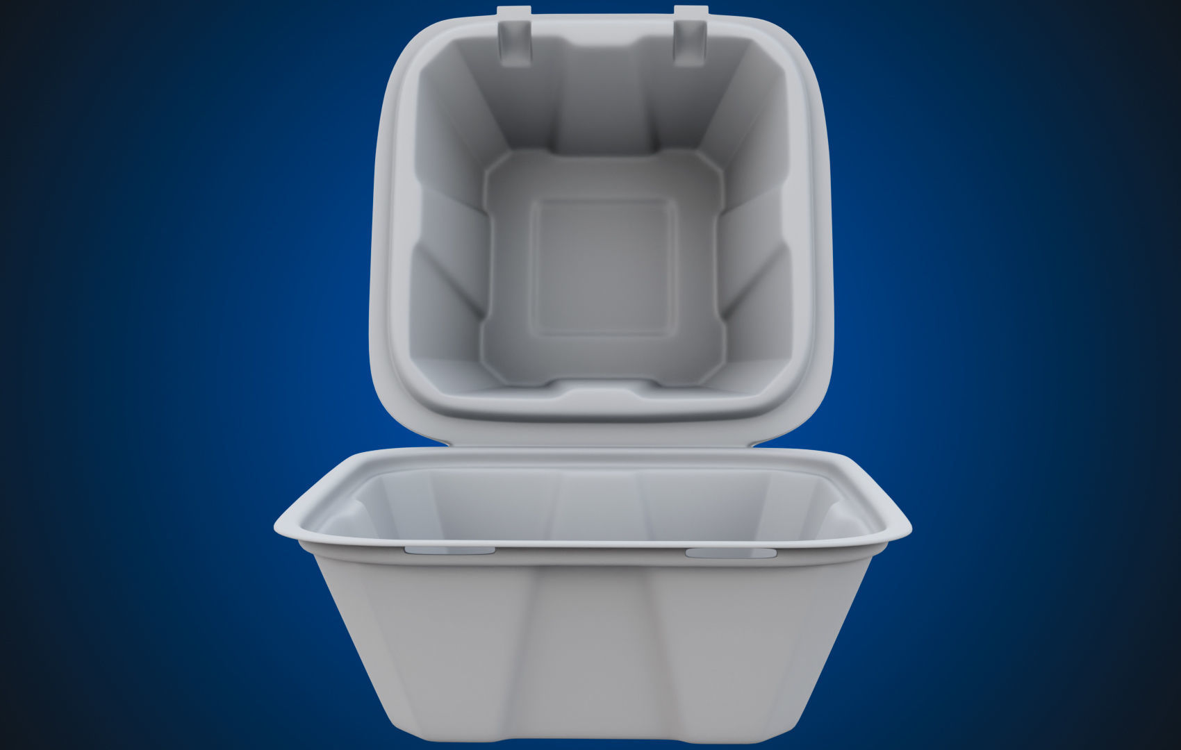Compostable Food Container - Disposable 3D model_37