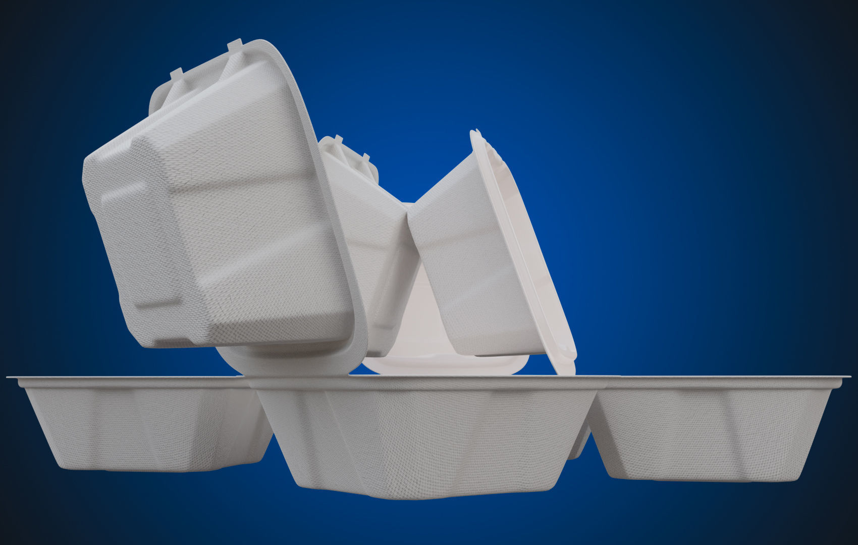 Compostable Food Container - Disposable 3D model_18