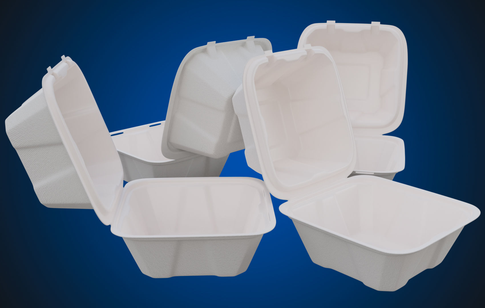 Compostable Food Container - Disposable 3D model_2