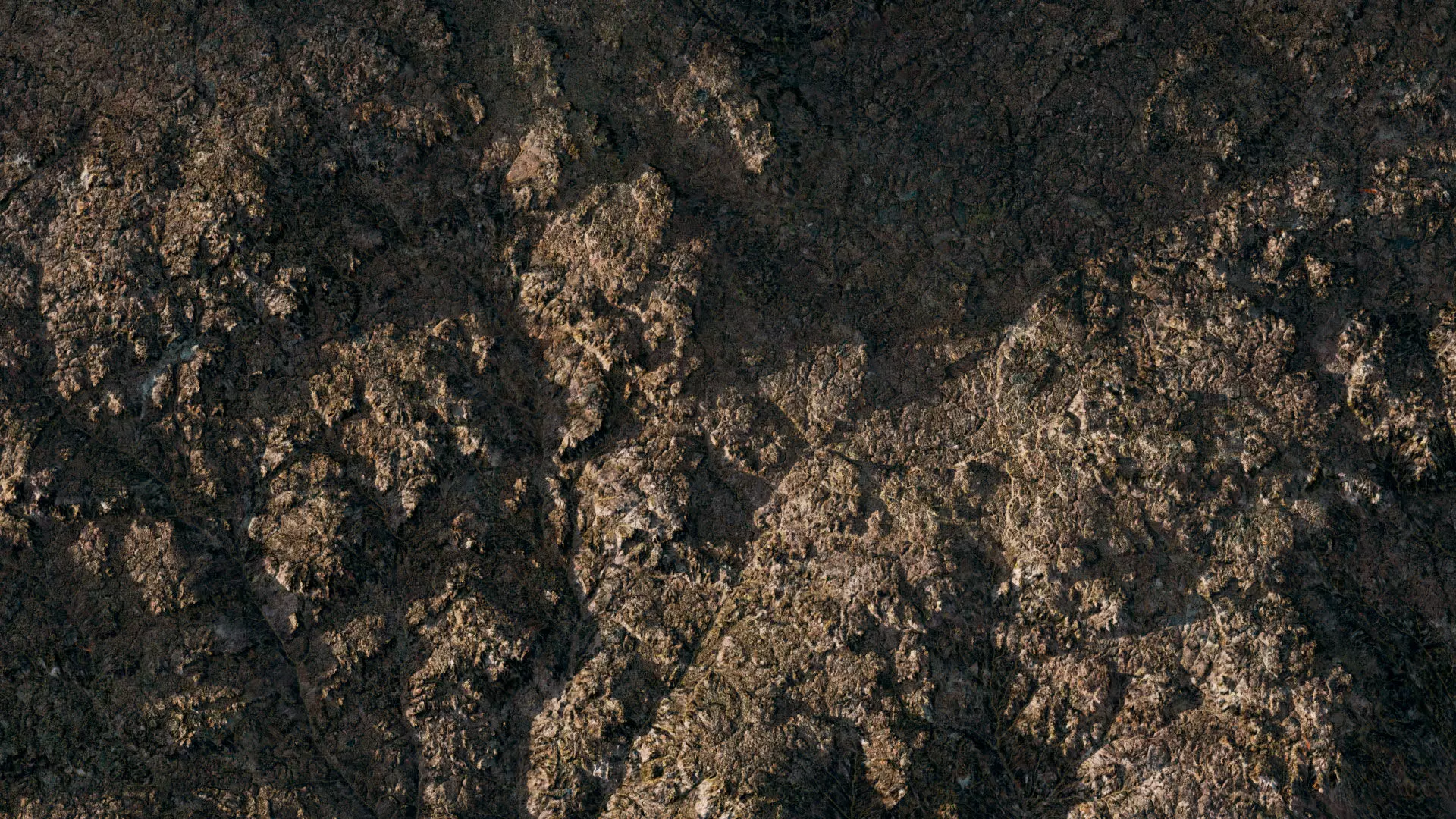 TERRAFORM Lowland 10 3D model_0