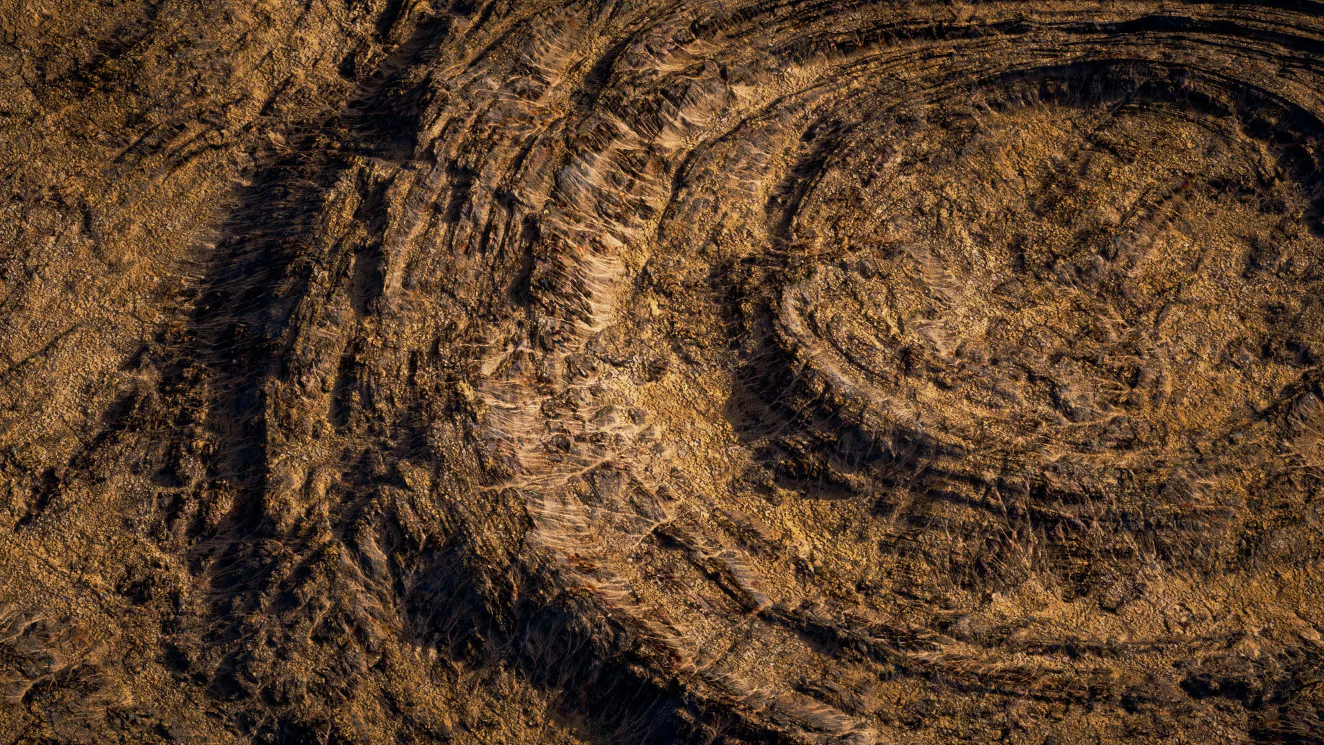 TERRAFORM Lowland 05 3D model_0