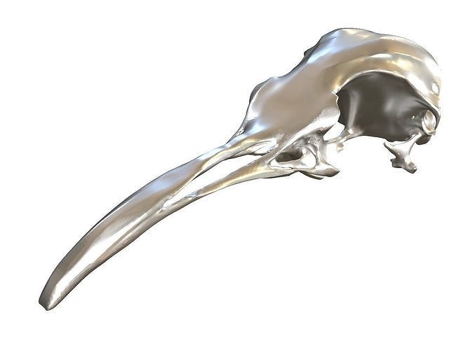 Cranium Charm Penguin 3D print model