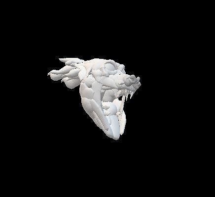 DRAGON HEAD Free 3D model
