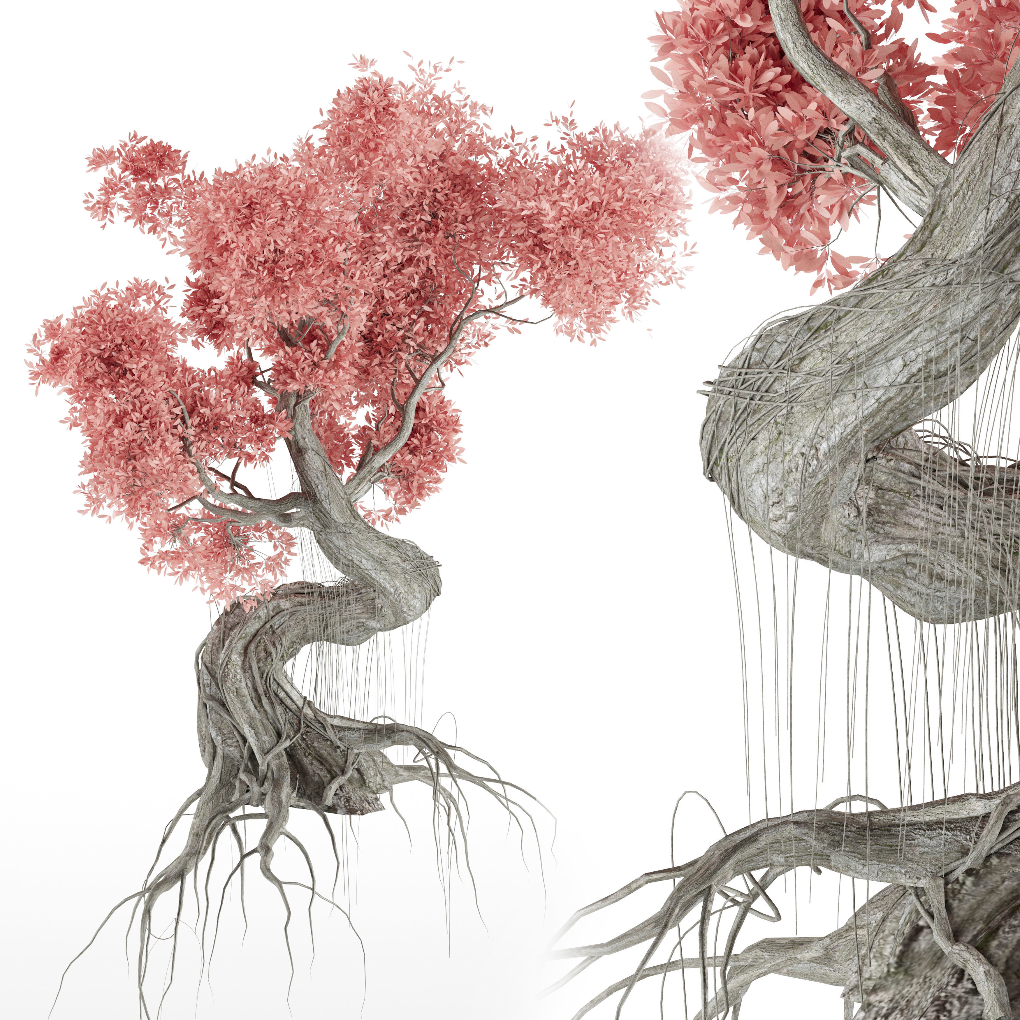 Stylized Tree 3D model_6