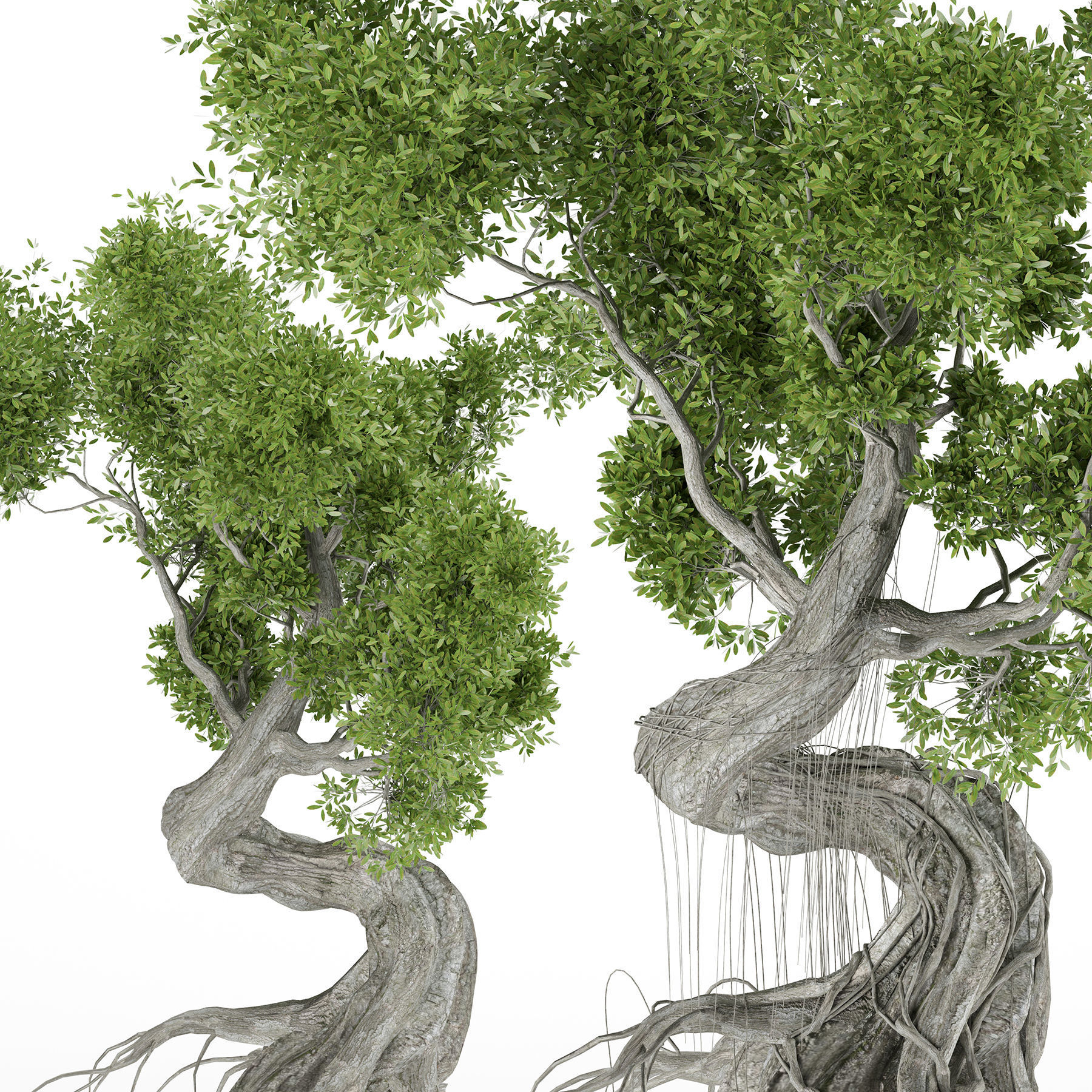 Stylized Tree 3D model_7