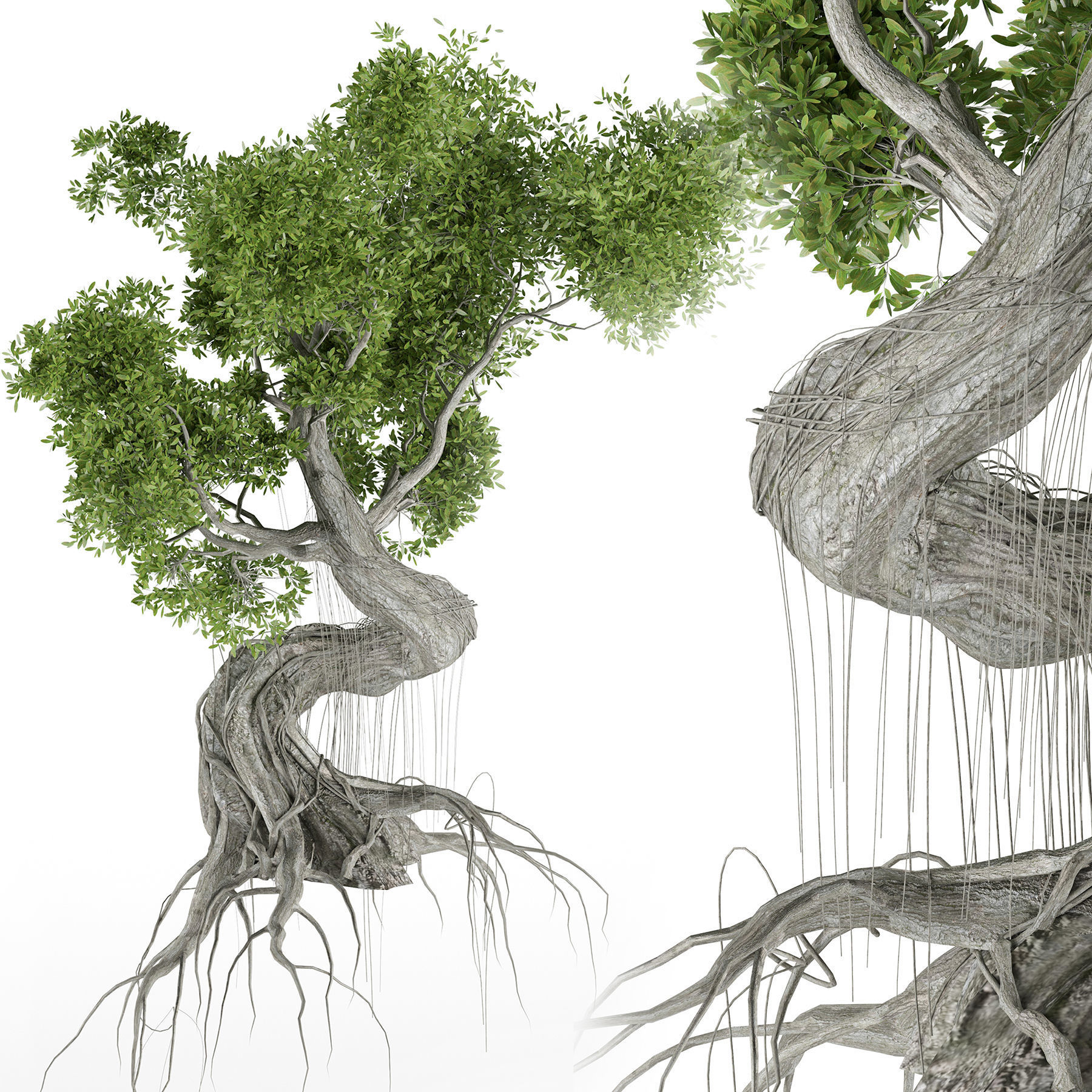Stylized Tree 3D model_4