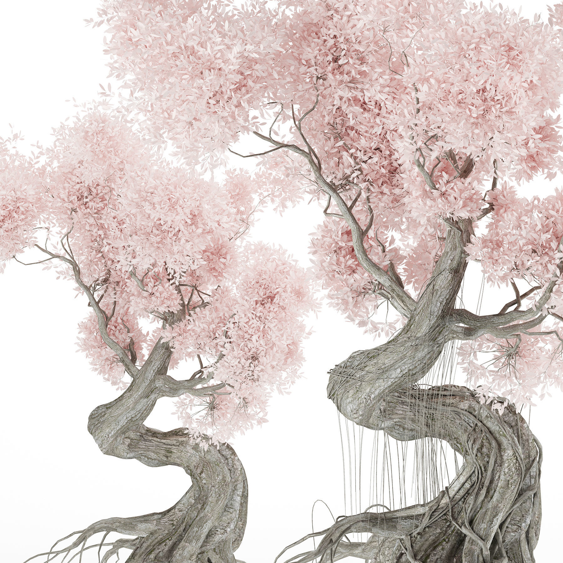 Stylized Tree 3D model_8