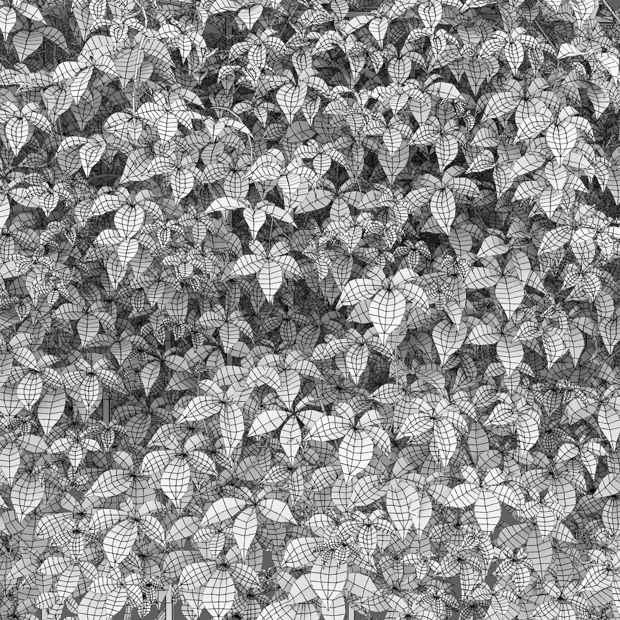 Virginia Creeper hedge 01 3D model_9